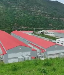 華邦建設(shè)宕昌項目鋼結(jié)構(gòu)廠房